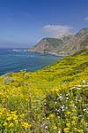 Big Sur Coast and Bixby Creek Bridge