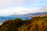 Mendocino Coast