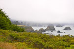 Mendocino Coast
