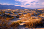 Mesquite Flat Sand Dunes