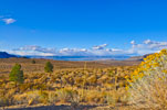 Mono Lake Basin