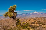 San Gorgonio Mountain