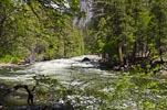 The Merced River