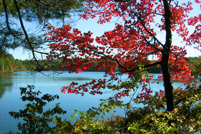 New England Fall Colors