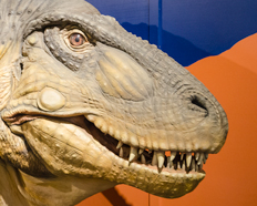 The Dinosaur Diamond in Utah and Colorado.