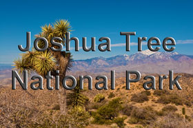 Joshua Tree National Park